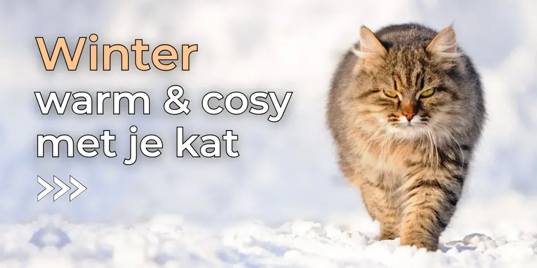 Tips en inspiratie om de winter warm en cosy met je kat door te komen