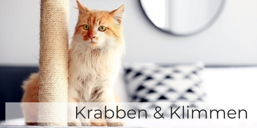 Ga naar Krabben & Klimmen om je kat te verwennen