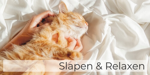 Ga naar Slapen & Relaxen om je kat te verwennen met een mandje