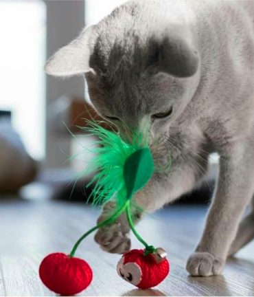 Bijtspeeltje voor je kat Dental Cherries Red in actie bij catsandthings.nl