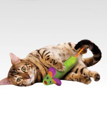Kattenkruid speeltje voor je kat Green Magic Mighty Mouse in actie bij catsandthings.nl
