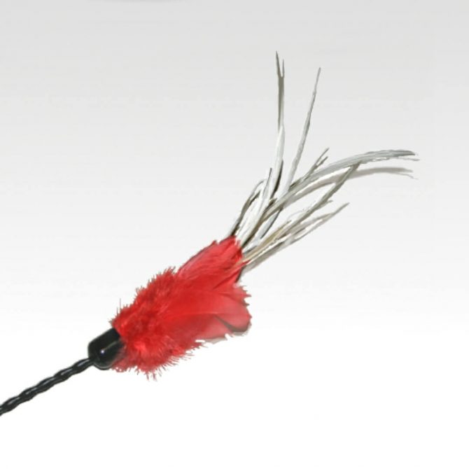 Speelstok Feather Bouncer Vee-Toy @catsandthings.nl