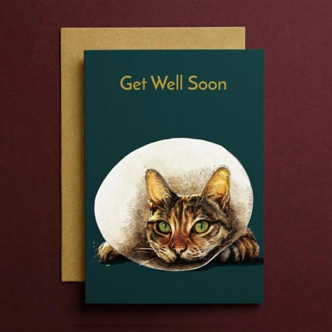 Get Well Soon bij catsandthings.2