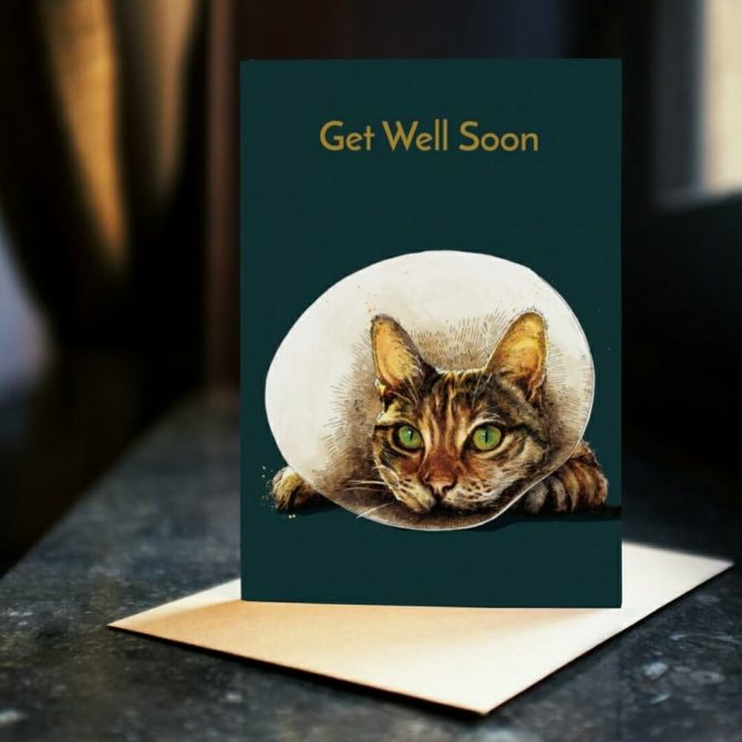 Get Well Soon bij catsandthings.4