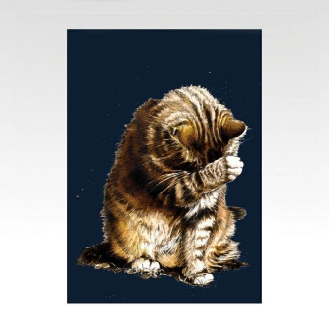 A4 poster van origineel artwork van een wassende kat