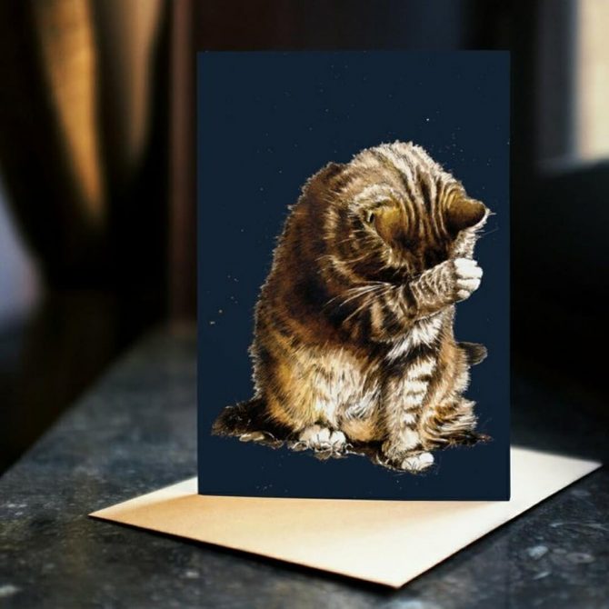 Small Fry Tabby Cat bij catsandthings.4