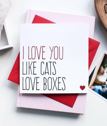 Tekstkaart voor een kattenliefhebber Like Cats love Boxes 1