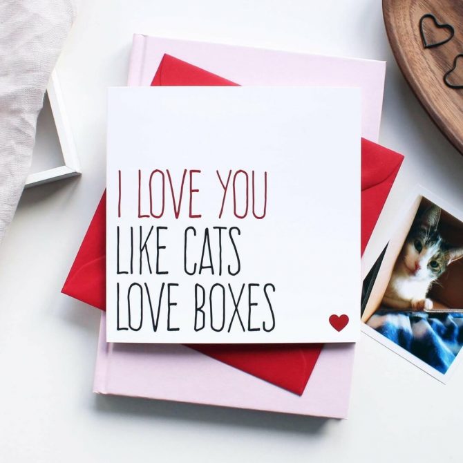 Tekstkaart voor een kattenliefhebber Like Cats love Boxes 1