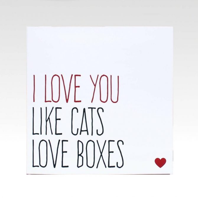 Katten Tekstkaart I love you like cats love boxes