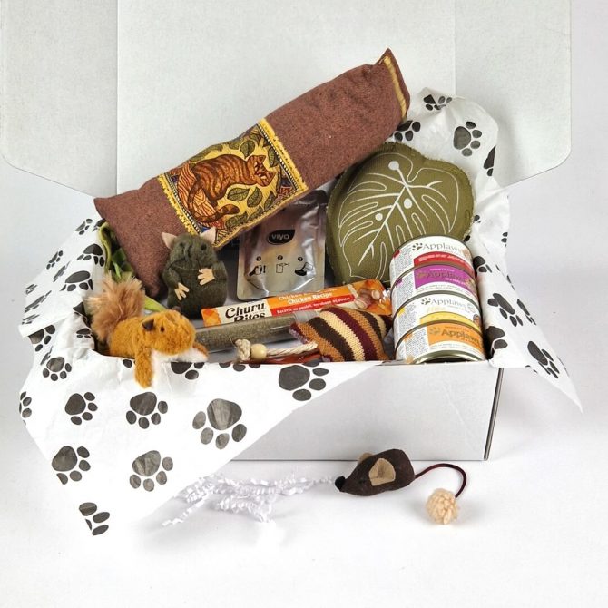 Herfst Giftbox voor je kat