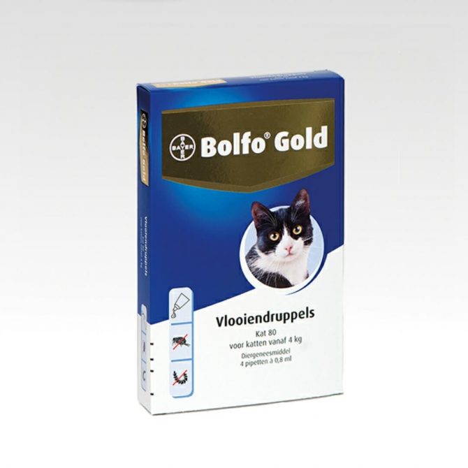 Bolfo Gold voor katten vanaf 4 kg
