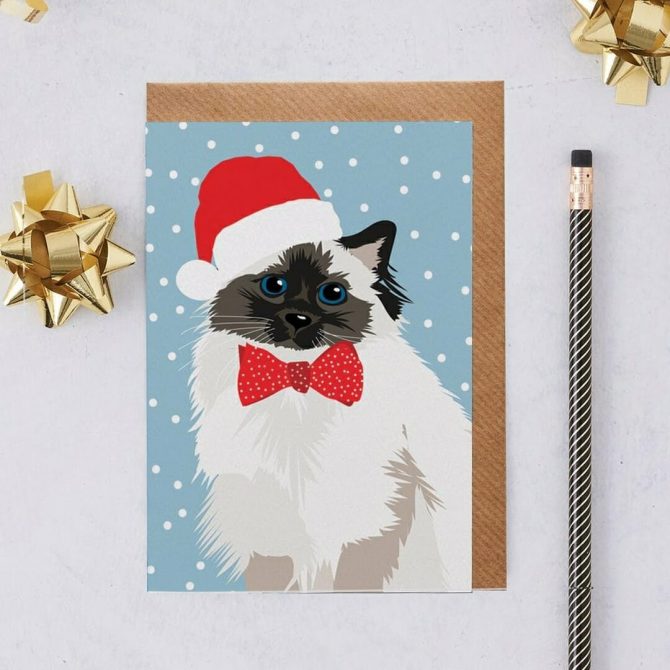 Meg with Christmas Hat Cat Card 2