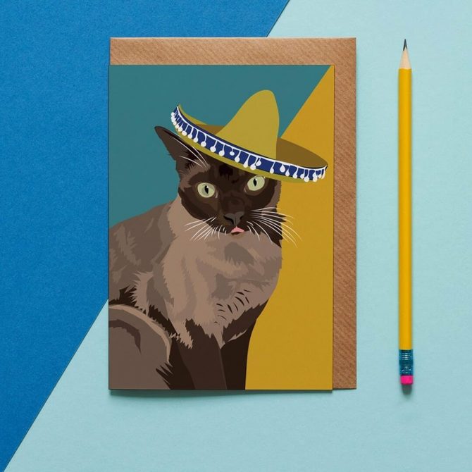 Sid with Sombrero Cat Card 2