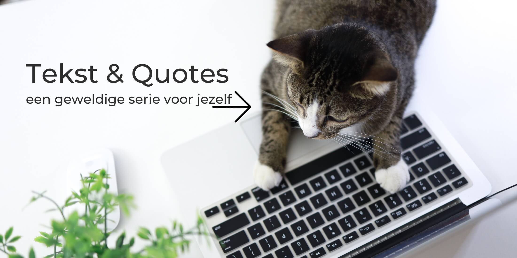 Een humoristische serie voor jezelf met katten quotes en teksten