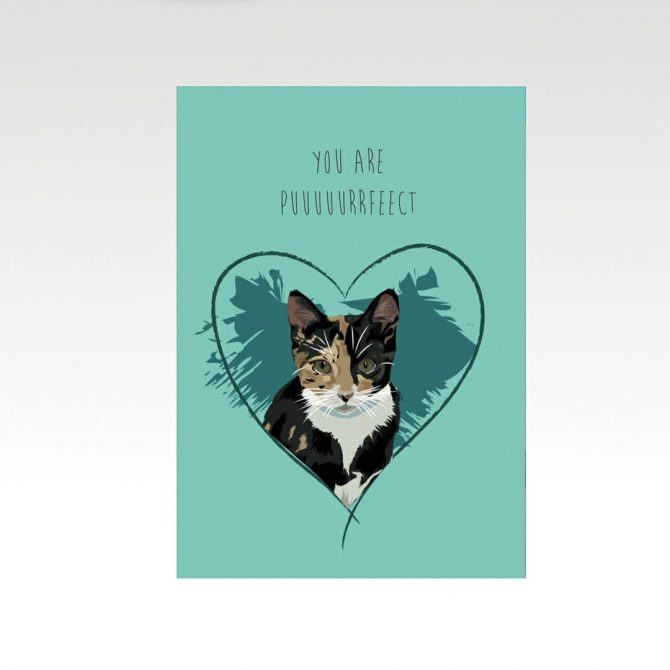 Valentijnskaart met kat