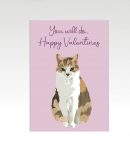 Valentijnskaart met kat