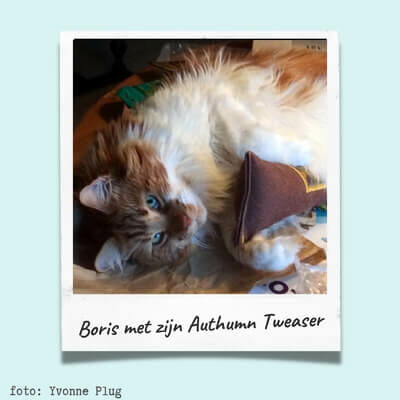Boris klant van Cats & Things met een Autumn Tweaser - kattenspeeltje
