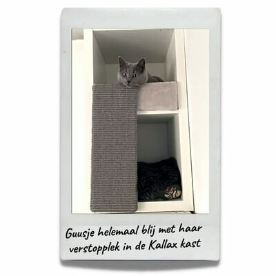 Klant Cats & Things in Kallax verstophol met krabplank
