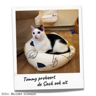 Tommy klant van Cats & Things liggend op een Sack