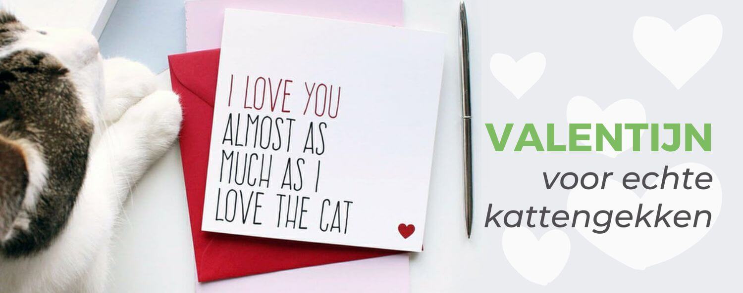 Valentijn voor kattengekken
