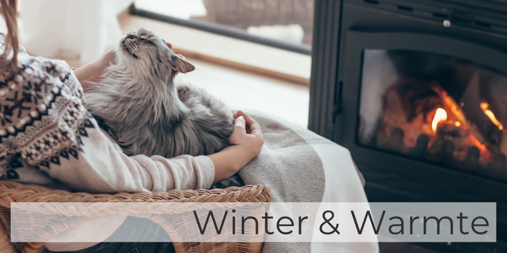 Een winter voor inspiratie voor jou en je kat