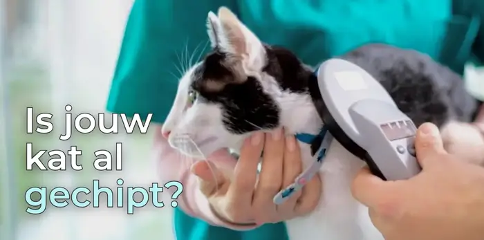 Is jouw kat al gechipt en check meteen de registratie