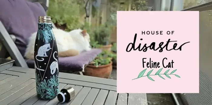 Feline Cat een serie van House of Disaster voor jou!