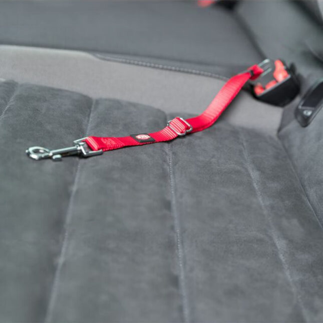 Auto-harnas-2@catsandthings.nl_ Auto-harnas-2@catsandthings.nl_