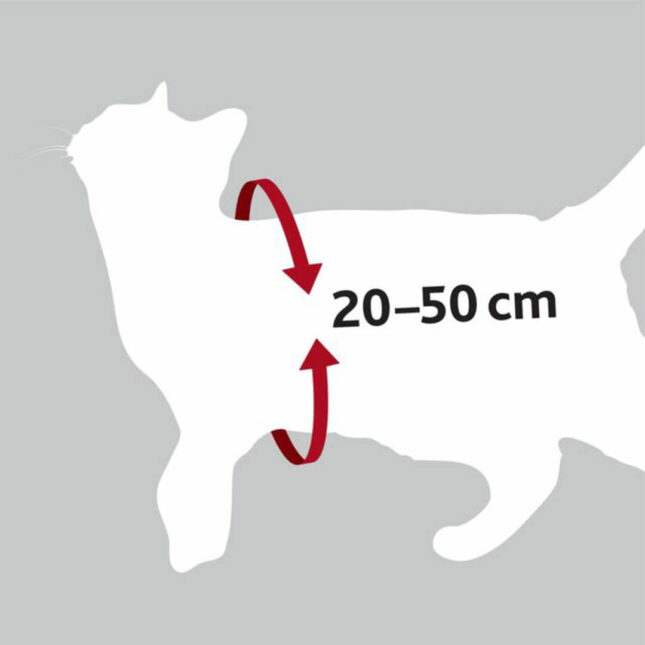 Auto-harnas-3@catsandthings.nl_ Auto-harnas-3@catsandthings.nl_