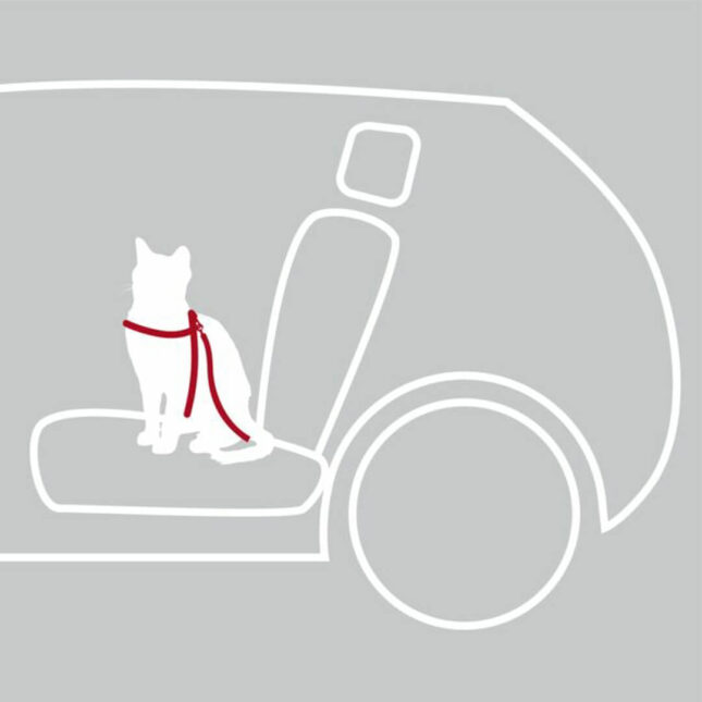 Auto-harnas-4@catsandthings.nl_ Auto-harnas-4@catsandthings.nl_