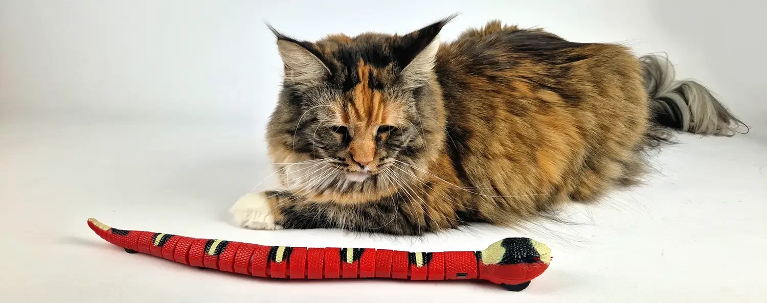 Automatische kattenspeeltjes tegen verveling is niet zielig