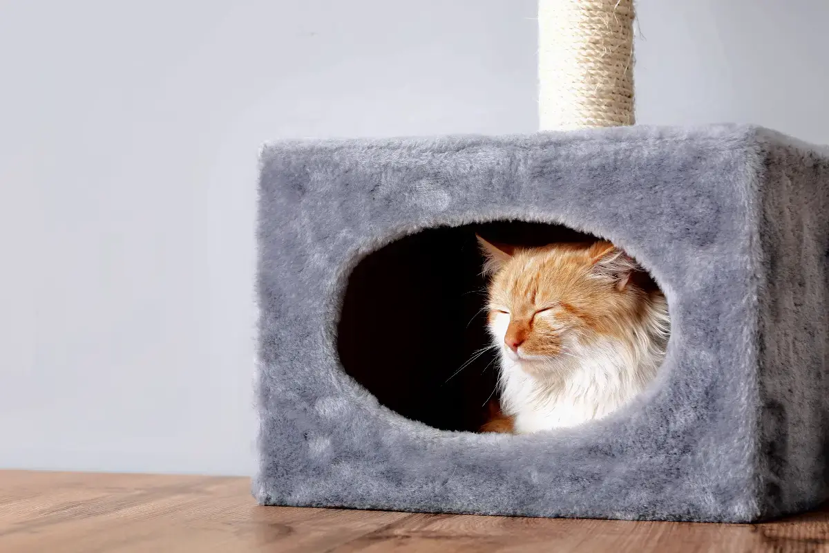 Een holletje voor de warmte voor je senior kat