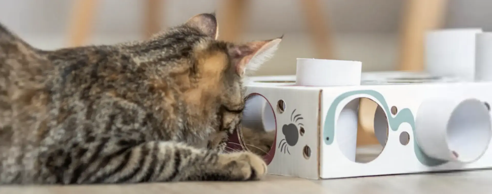 voedselverrijking voor katten