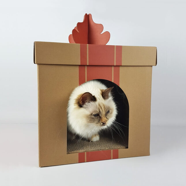 BZT-Xmas-Box-3 BZT-Xmas-Box-3