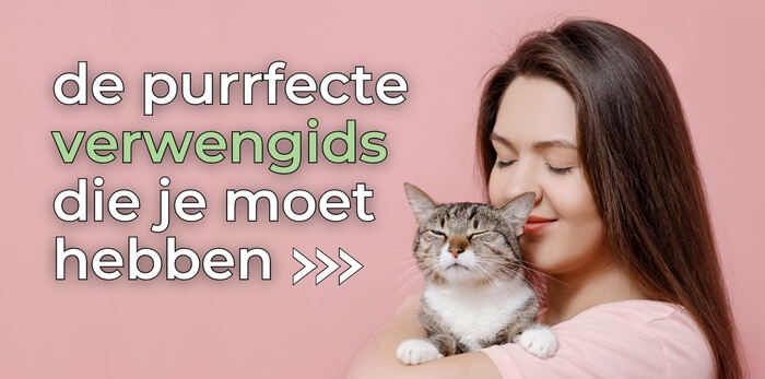 De purrfecte verwengids de najaarsmagazine van Cats & Things vraag hem snel aan