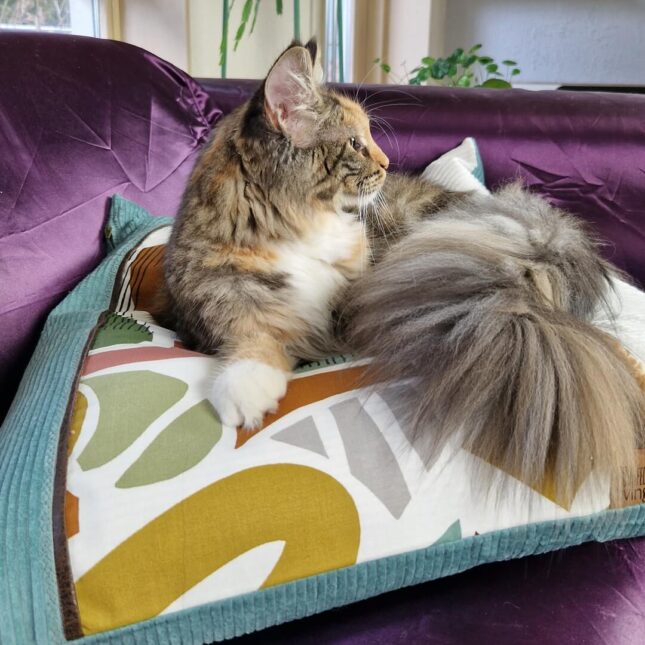 Balletjeskussen-Big-Cosy-Geo-met-Tara-1-woon Balletjeskussen-Big-Cosy-Geo-met-Tara-1-woon