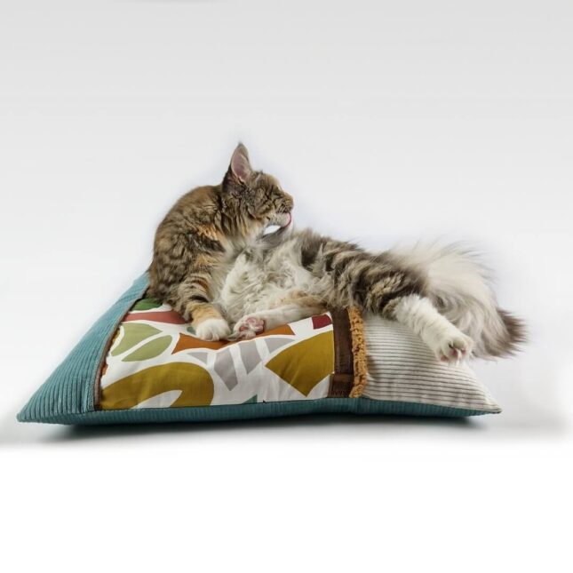 Balletjeskussen-Big-Cosy-Geo-met-Tara-2 Balletjeskussen-Big-Cosy-Geo-met-Tara-2