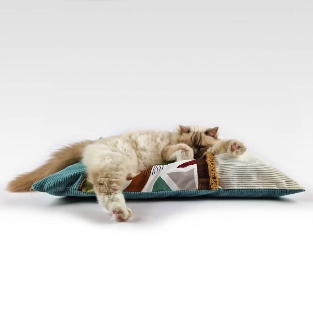 Balletjeskussen-Lazy-Cosy-Geo-met-Liam Balletjeskussen-Lazy-Cosy-Geo-met-Liam