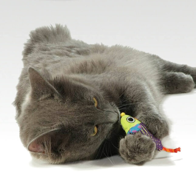 Bijtspeeltje-voor-je-kat-Catnip-Chew-Mice-in-actie-bij-catsandthings.nl_ Bijtspeeltje-voor-je-kat-Catnip-Chew-Mice-in-actie-bij-catsandthings.nl_