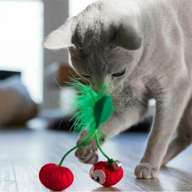 Bijtspeeltje-voor-je-kat-Dental-Cherries-Red-in-actie-bij-catsandthings.nl_ Bijtspeeltje-voor-je-kat-Dental-Cherries-Red-in-actie-bij-catsandthings.nl_