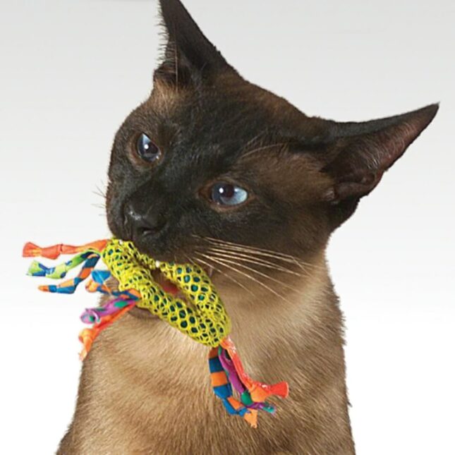 Bijtspeeltje-voor-je-kat-Dental-Health-Chews-in-actie-bij-catsandthings.nl_ Bijtspeeltje-voor-je-kat-Dental-Health-Chews-in-actie-bij-catsandthings.nl_