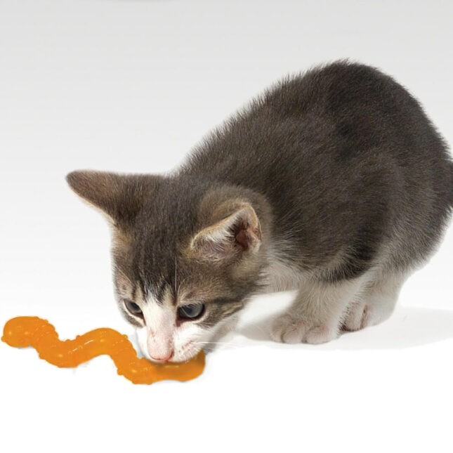 Bijtspeeltje-voor-je-kat-Orka-Wiggle-Worm-in-actie-bij-catsandthings.nl_ Bijtspeeltje-voor-je-kat-Orka-Wiggle-Worm-in-actie-bij-catsandthings.nl_
