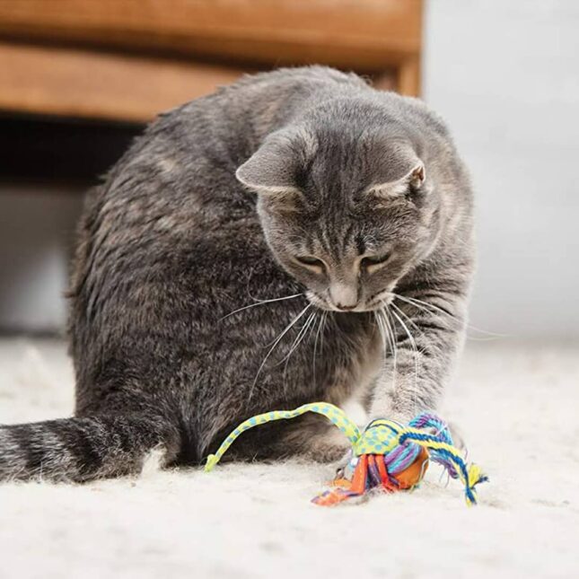 Bijtspeeltje-voor-je-kat-Tons-of-Tails-in-actie-1-310 Bijtspeeltje-voor-je-kat-Tons-of-Tails-in-actie-1-310