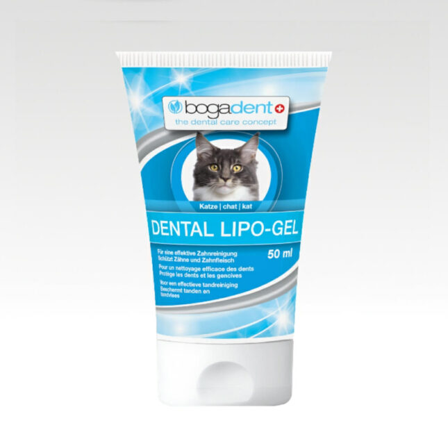 tandpasta gel voor je kat van bogadent