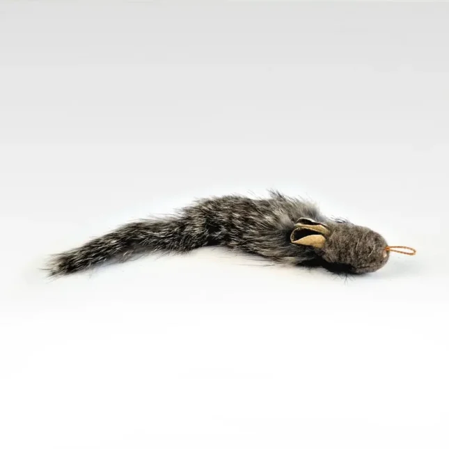 Buffalo Rabbit Mouse 22-2 Buffalo Rabbit Mouse 22-2