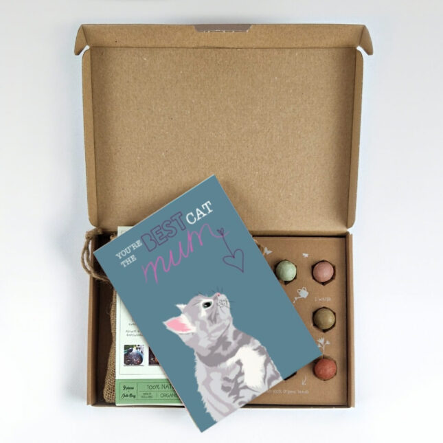 CadeauBox-Moederdag-Mus-2 CadeauBox-Moederdag-Mus-2