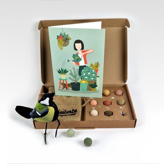 CadeauBox-Watering-the-Plants-Koolmees-1-©catsandthings.nl_ CadeauBox-Watering-the-Plants-Koolmees-1-©catsandthings.nl_