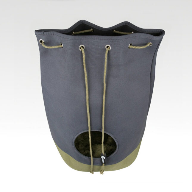 Casa-Moss-2 Casa-Moss-2