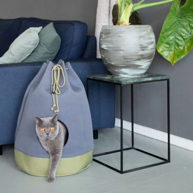 Casa-Moss-6 Casa-Moss-6