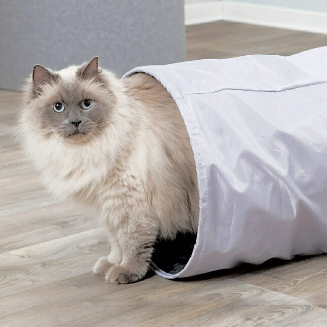 Cat-Tunnel-XXL-1@catsandthings.nl_ Cat-Tunnel-XXL-1@catsandthings.nl_